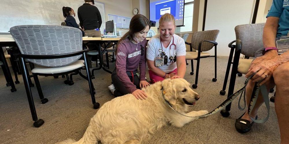  ANOTHER KIND OF 'PET’ THERAPY: Otto, an English Golden Retriever, is on hand to offer pets for caregivers during Pet a Pooch session at the hospital.